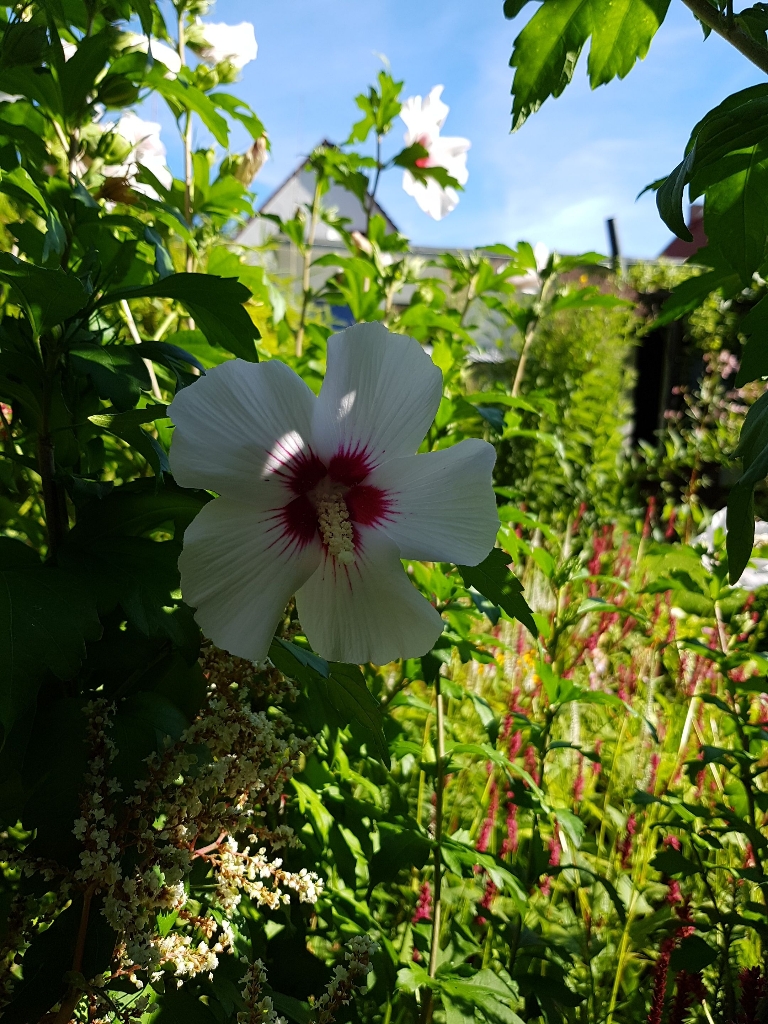 Garten in Lübben